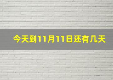 今天到11月11日还有几天