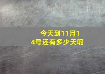 今天到11月14号还有多少天呢