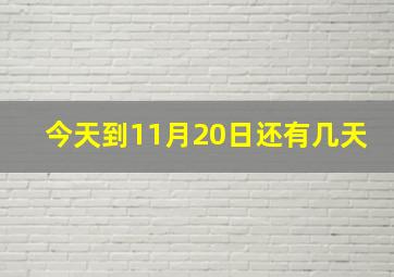 今天到11月20日还有几天