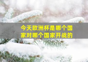 今天欧洲杯是哪个国家对哪个国家开战的