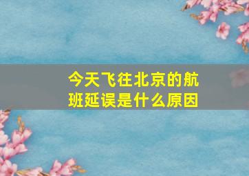 今天飞往北京的航班延误是什么原因