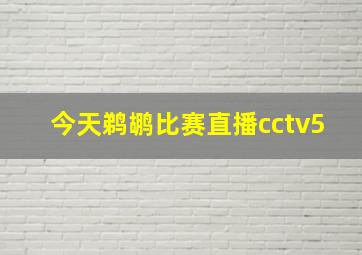 今天鹈鹕比赛直播cctv5