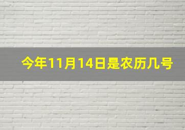 今年11月14日是农历几号