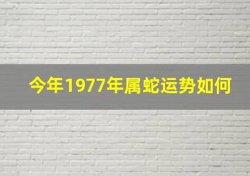 今年1977年属蛇运势如何