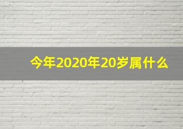 今年2020年20岁属什么