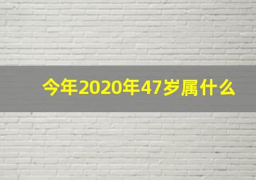 今年2020年47岁属什么