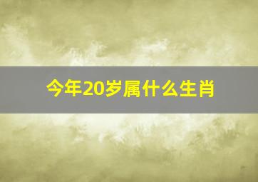 今年20岁属什么生肖