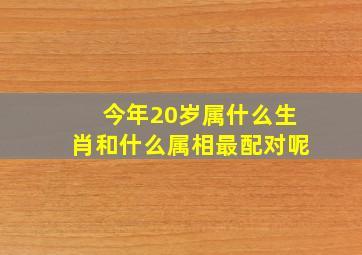 今年20岁属什么生肖和什么属相最配对呢