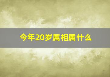 今年20岁属相属什么