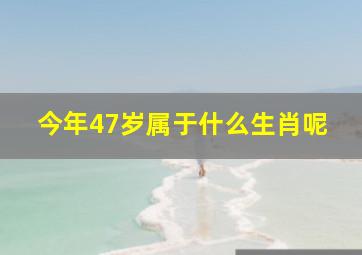 今年47岁属于什么生肖呢