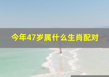 今年47岁属什么生肖配对