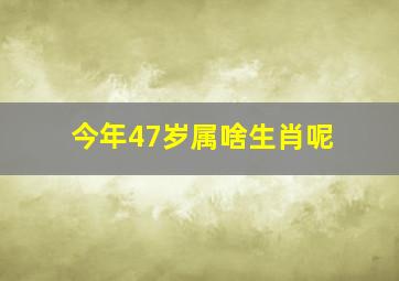 今年47岁属啥生肖呢