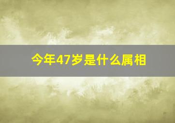 今年47岁是什么属相