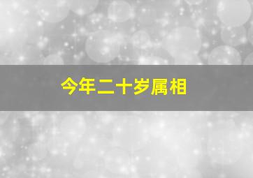 今年二十岁属相