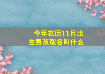 今年农历11月出生男孩取名叫什么