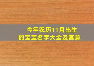 今年农历11月出生的宝宝名字大全及寓意