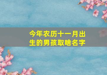 今年农历十一月出生的男孩取啥名字