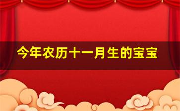 今年农历十一月生的宝宝