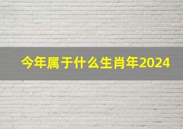 今年属于什么生肖年2024