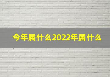 今年属什么2022年属什么