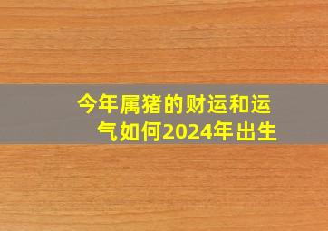 今年属猪的财运和运气如何2024年出生