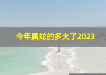 今年属蛇的多大了2023