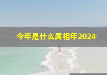 今年是什么属相年2024