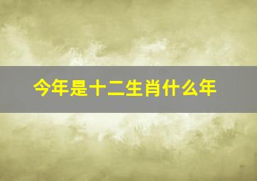 今年是十二生肖什么年