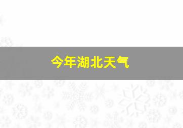 今年湖北天气