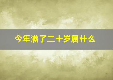 今年满了二十岁属什么