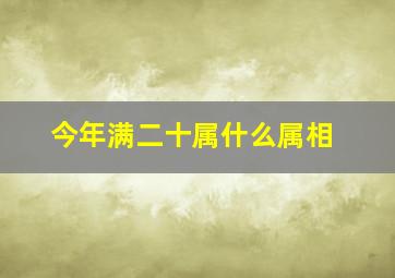 今年满二十属什么属相