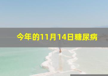 今年的11月14日糖尿病