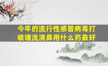 今年的流行性感冒病毒打喷嚏流清鼻用什么药最好