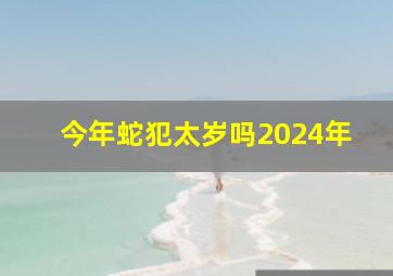 今年蛇犯太岁吗2024年