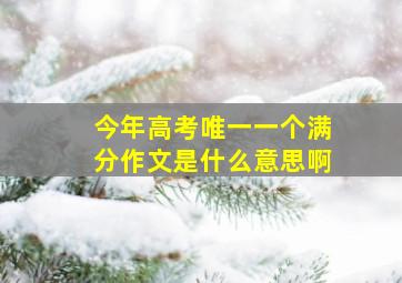 今年高考唯一一个满分作文是什么意思啊