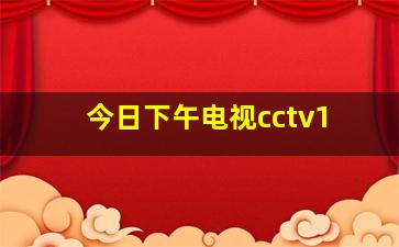 今日下午电视cctv1