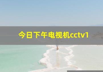 今日下午电视机cctv1