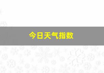 今日天气指数