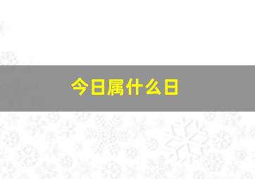 今日属什么日