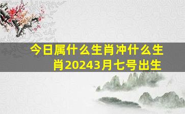 今日属什么生肖冲什么生肖20243月七号出生