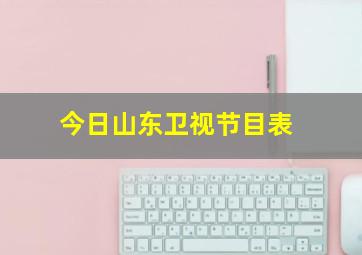 今日山东卫视节目表