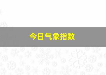 今日气象指数