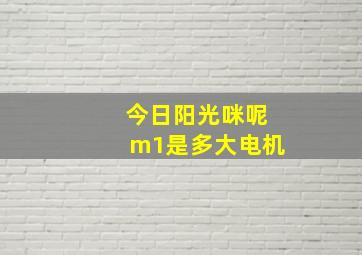 今日阳光咪呢m1是多大电机