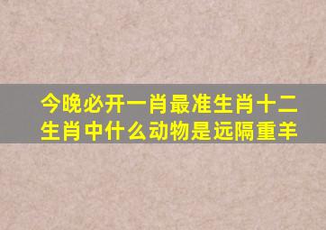 今晚必开一肖最准生肖十二生肖中什么动物是远隔重羊