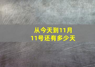 从今天到11月11号还有多少天