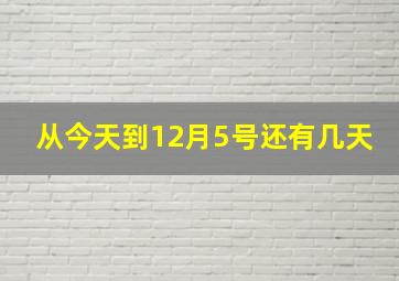 从今天到12月5号还有几天