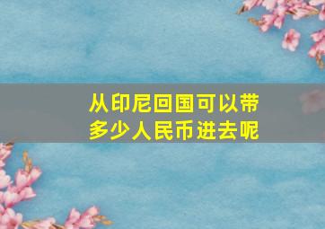 从印尼回国可以带多少人民币进去呢