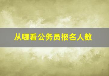 从哪看公务员报名人数