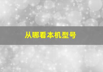 从哪看本机型号