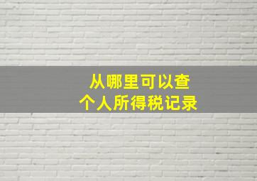 从哪里可以查个人所得税记录